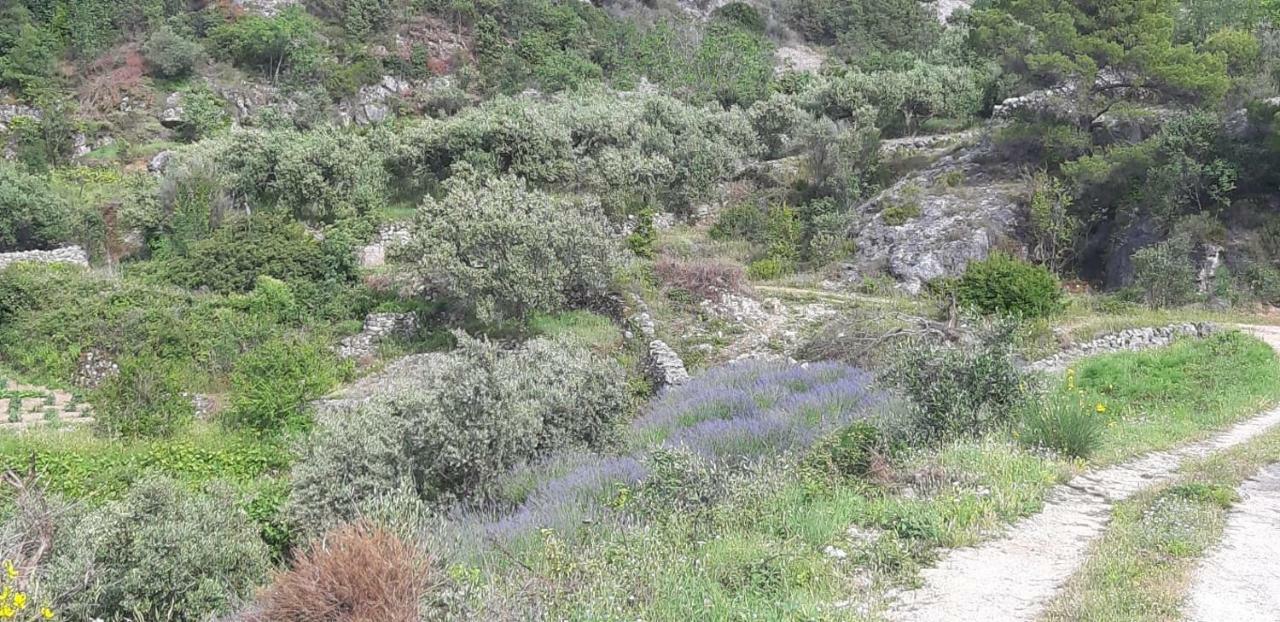 Kuca Za Odmor Dobrila 호텔 젤사 외부 사진